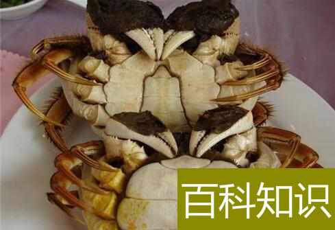 如何吃螃蟹，怎样辨别公螃蟹和母螃蟹
